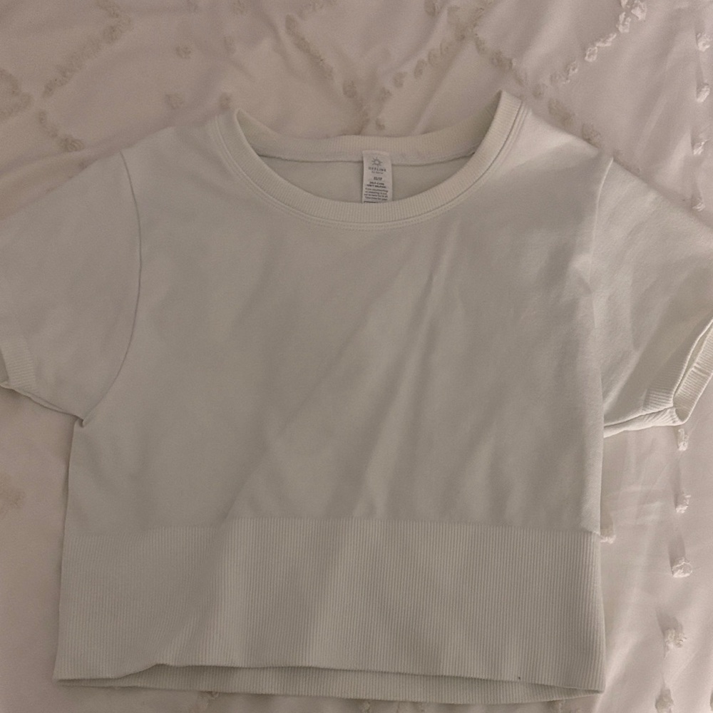 Aerie Cream Crop Top
